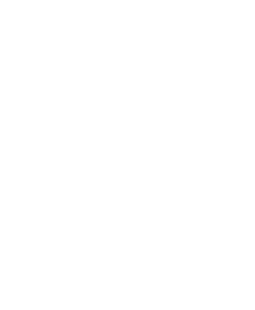 defence icon
